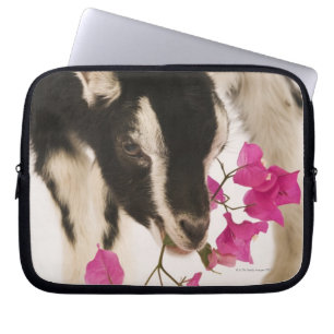 Housse Pour Ordinateur Portable Chèvre alpine britannique domestiquée (enfant).