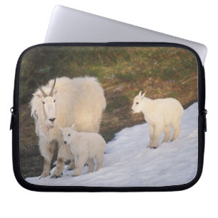 Housse Pour Ordinateur Portable chèvres des montagnes