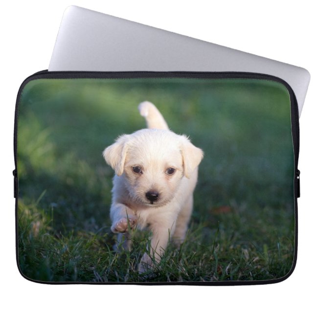 Housse Pour Ordinateur Portable Chien, Animal, Chien (Devant)