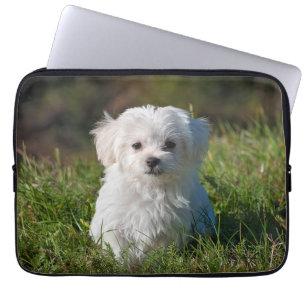 Housse Pour Ordinateur Portable Chien chiot maltais blanc mou