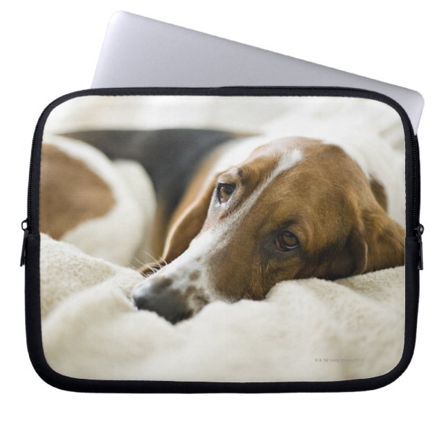 Housse Pour Ordinateur Portable Chien de basset-hound (Devant)