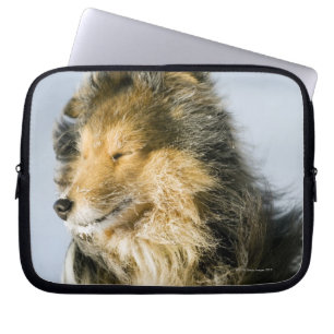 Housse Pour Ordinateur Portable Chien de berger de Shetland