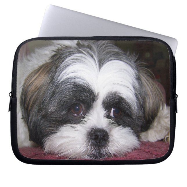 Housse Pour Ordinateur Portable Chien de Shih Tzu (Devant)