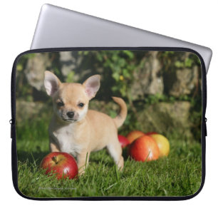 Housse Pour Ordinateur Portable Chiot de chiwawa avec des pommes