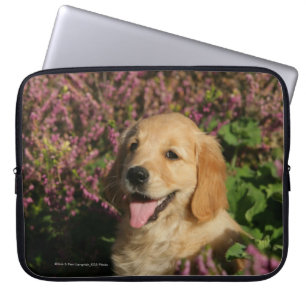 Housse Pour Ordinateur Portable Chiot d'or de Retreiver