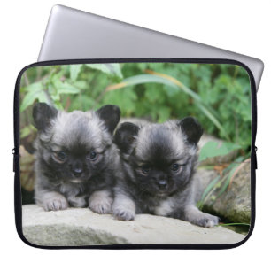 Housse Pour Ordinateur Portable Chiots aux cheveux longs de chiwawa
