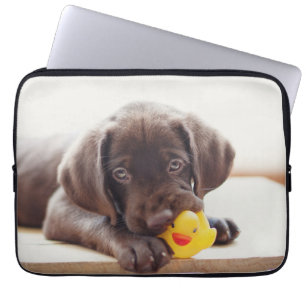 Housse Pour Ordinateur Portable Chocolat Labrador Puppy With Toy Duck