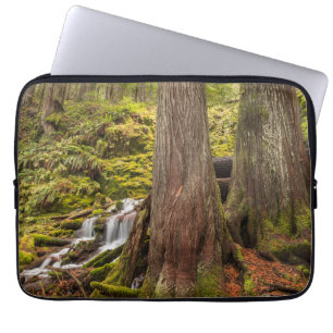 Housse Pour Ordinateur Portable Chutes de White Branch, Cascades de l'Oregon, Oreg