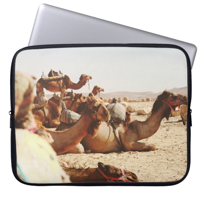 HOUSSE POUR ORDINATEUR PORTABLE CINQ CAMELS SUR LE TERRAIN (Devant)