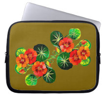 coleção Flores do Brasil capuchinha, 