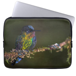 Housse Pour Ordinateur Portable Colibri