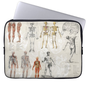 Housse Pour Ordinateur Portable Collage d'art en biologie anatomique vintage