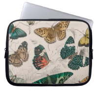 collection papillon aquarelle antique art beurre