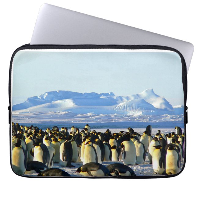 Housse Pour Ordinateur Portable colonie de pingouins sur glace (Devant)
