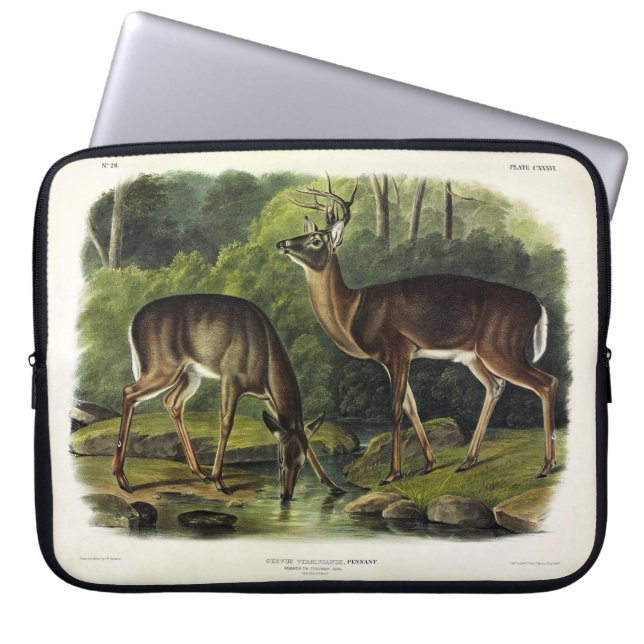 Housse Pour Ordinateur Portable Common Deer (Devant)