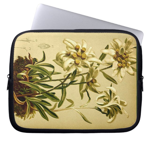Housse Pour Ordinateur Portable Coque de poche à manches Edelweiss (Devant)
