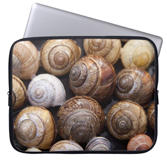 Housse Pour Ordinateur Portable Coques des escargots (Devant)