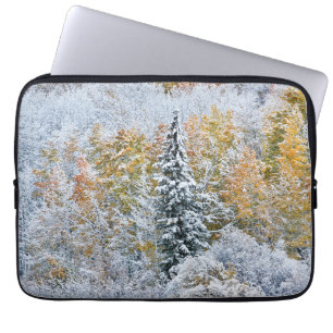 Housse Pour Ordinateur Portable Couleurs d'automne des trembles et neige Keebler P