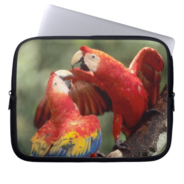 Housse Pour Ordinateur Portable Couple d'Ara rouge (Devant)