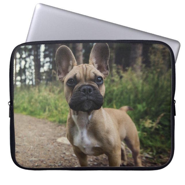 Housse Pour Ordinateur Portable Coussin de lancer Bouledogue Français (Devant)