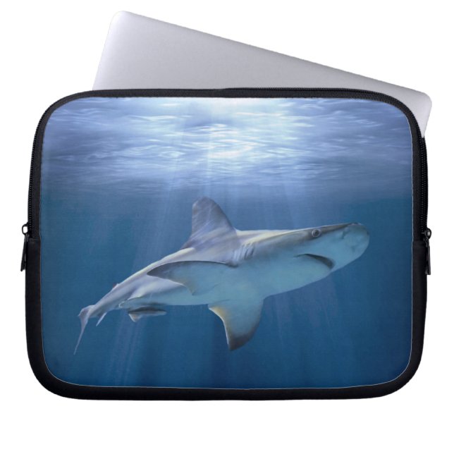 Housse Pour Ordinateur Portable Cruising Shark (Devant)