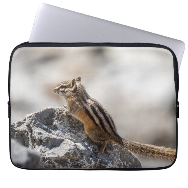 Housse Pour Ordinateur Portable Curieux Chipmunk Brown en Alberta (Devant)
