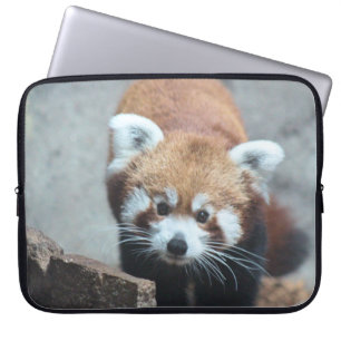 Housse Pour Ordinateur Portable Cute