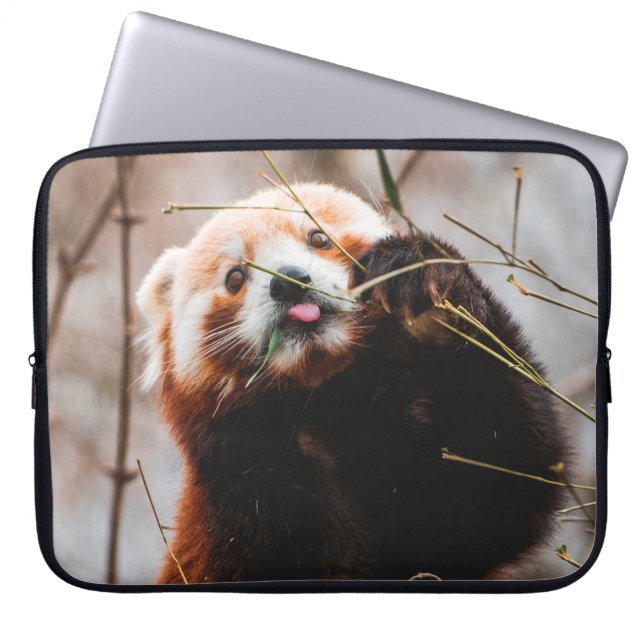 HOUSSE POUR ORDINATEUR PORTABLE CUTE KOALA BEAR (Devant)