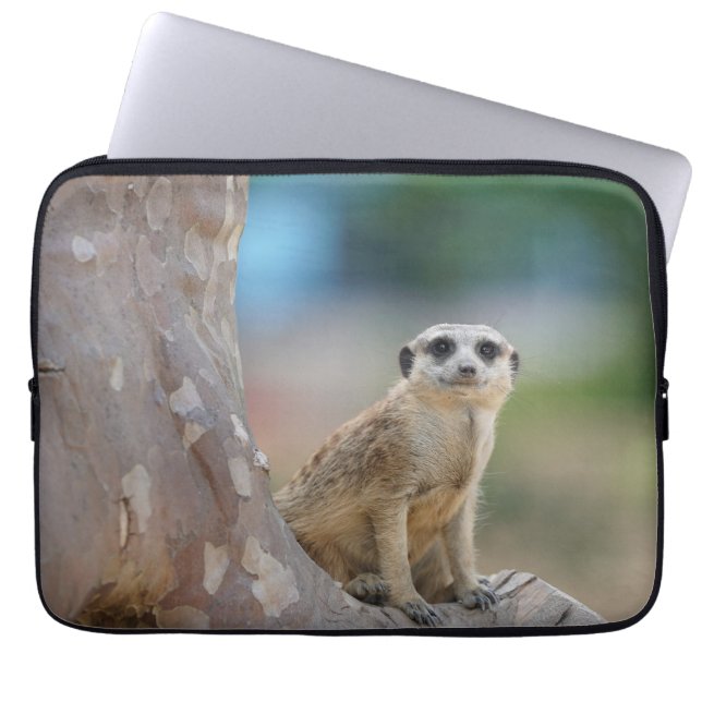 Housse Pour Ordinateur Portable Cute Meerkat Sat sur arbre (Devant)