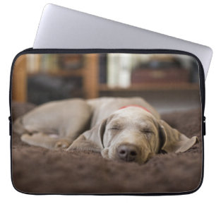 Housse Pour Ordinateur Portable Cutest Baby Animals Weimaraner Puppy Sleeping