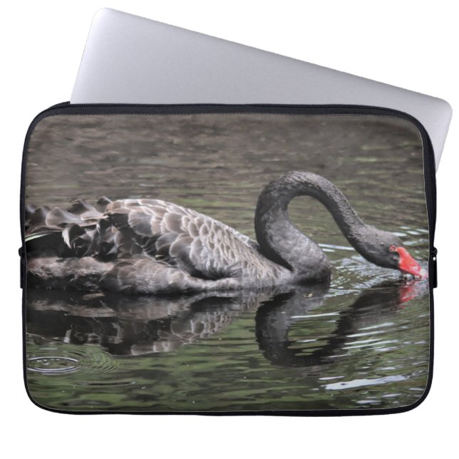 Housse Pour Ordinateur Portable Cygne noir (Devant)