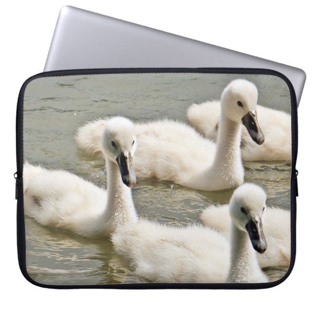 Housse Pour Ordinateur Portable Cygnets de cygne nager (Devant)