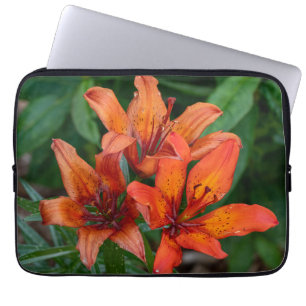 Housse Pour Ordinateur Portable Daylily Orange Canadian Flower Photography