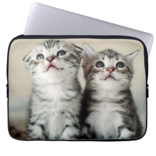 Housse Pour Ordinateur Portable Deux chatons mignons
