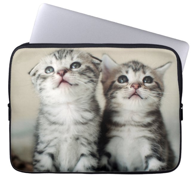 Housse Pour Ordinateur Portable Deux chatons mignons (Devant)