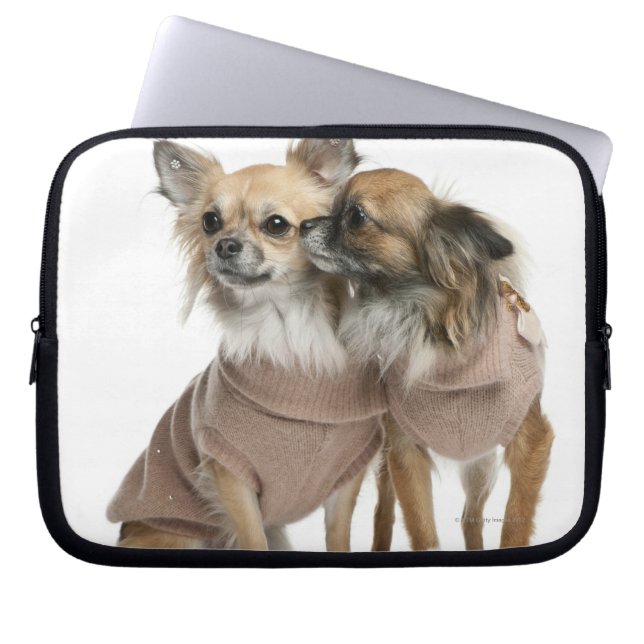Housse Pour Ordinateur Portable Deux Chihuahuas habillés (2 ans) (Devant)