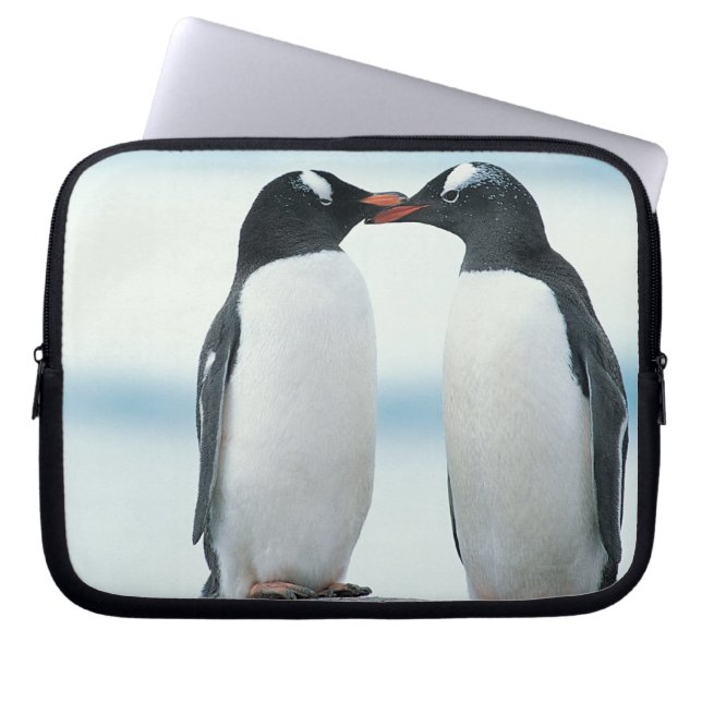 Housse Pour Ordinateur Portable Deux pingouins touchant des becs (Devant)