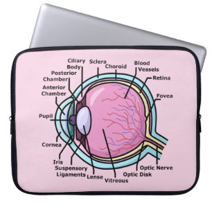 Housse Pour Ordinateur Portable Diagramme de l'oeil