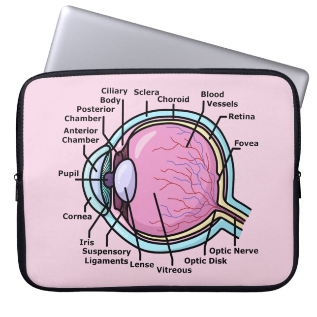 Housse Pour Ordinateur Portable Diagramme de l'oeil (Devant)