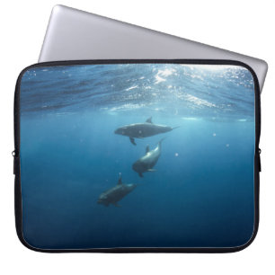 Housse Pour Ordinateur Portable Dolphin Family