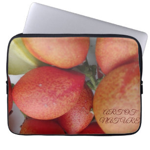 Housse Pour Ordinateur Portable Don d'art fruitier naturel de la Saint-Valentin