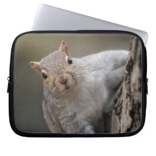 Housse Pour Ordinateur Portable Douille curieuse d'ordinateur portable d'écureuil