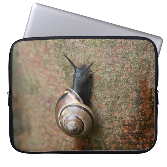 Housse Pour Ordinateur Portable Douille d'ordinateur portable d'escargot (Devant)