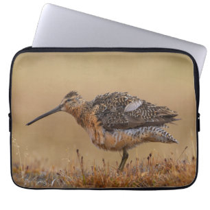 Housse Pour Ordinateur Portable Dowitcher à long bec