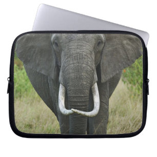 Housse Pour Ordinateur Portable Éléphant d'AfriqueLoxodonta, Masai Mara Game