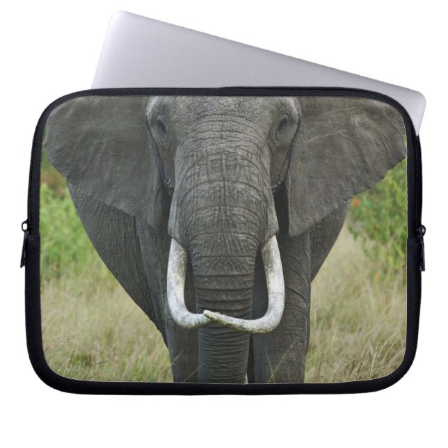 Housse Pour Ordinateur Portable Éléphant d'AfriqueLoxodonta, Masai Mara Game (Devant)