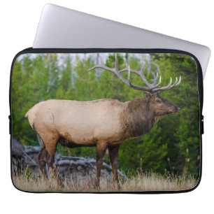 Housse Pour Ordinateur Portable Elk   Parc national de Yellowstone, Wyoming