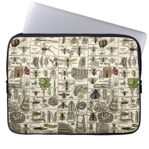 Housse Pour Ordinateur Portable Entomologie vintage