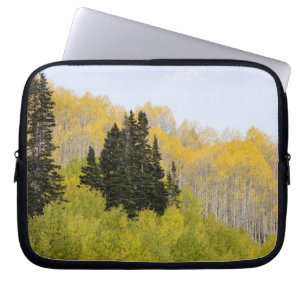Housse Pour Ordinateur Portable États-Unis, Colorado, forêt nationale de Gunnison,