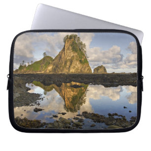 Housse Pour Ordinateur Portable États-Unis, Washington, Parc national Olympique.